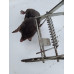 Капкан для кротів і полівок Martom TG64634 (Польша)